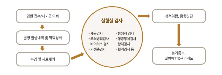 민원 접수/시•군 의뢰 질병 발생내역 및 역학청취 부검 및 시료채취 실험실 검사 세균검사  항생제 검사  조직병리검사  형광항체검사  바이러스 검사  항체검사  기생충검사  혈액검사 등 성적취합, 종합진단 농가통보, 질병예방&관리지도