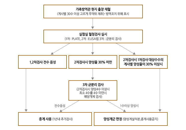 가축방역관 현지 출장 채혈 (계사별 30수 이상 고르게 무작위 채취)- 방역조치 위해 표시 실험실 혈청검사 실시 (1차:PLATE, 2차:ELISA법 3차;균분리 검사) 1,2차검사 전수 음성 2차검사시 양성율 30% 미만 2차검사시 1차검사 대상수수의 계사별 양성율이 30% 이상시 3차 균분리 검사 (2차검사시 양성4수 이상시 최소 4수를 4수 미만시 해당개체 검사) 전수음성 1수이상 양성시 종계 사용 (1년내 추가검사) 양성계군 판정 (양성계살처분,종계사용금지)